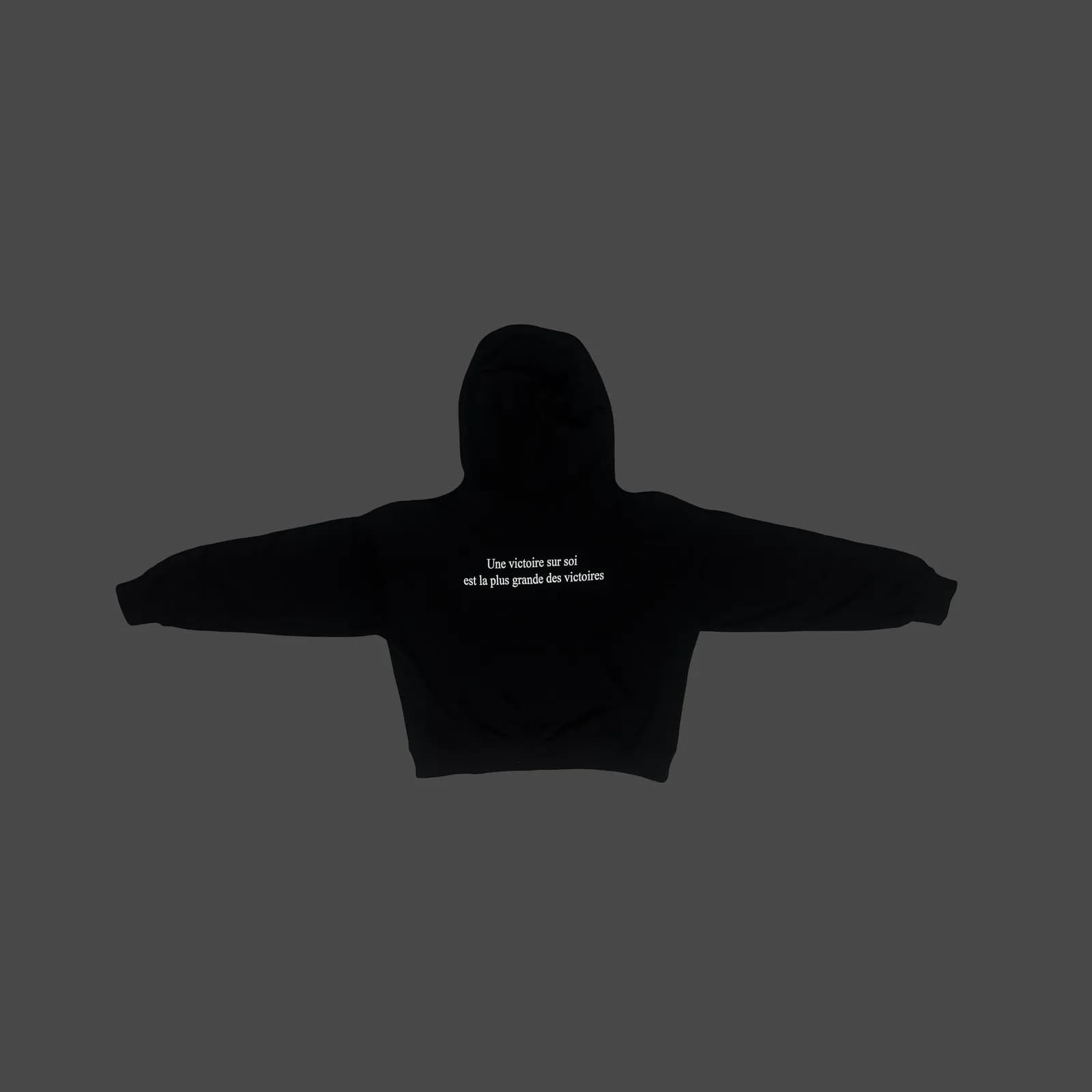 ca3sar hoodie